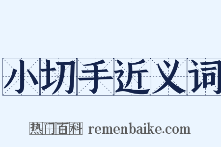 小切手近义词是什么意思的图片